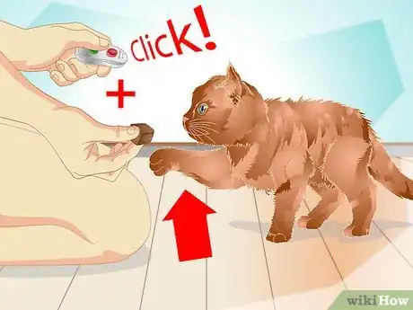 Image titled Teach a Cat to "High Five" Step 8